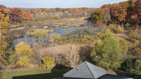 2009 Arbor Mdws, Dewitt, MI 48820 photo 45