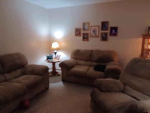 1019 Brookside, Adrian, MI 49221 photo 12