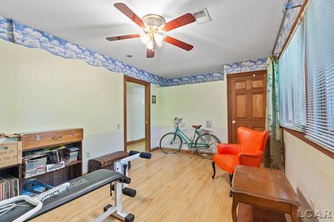 704 S Occidental, Tecumseh, MI 49286 photo 19