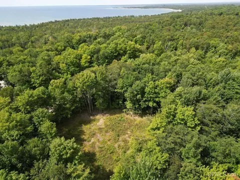 Tbd Dillexie, Manistique, MI 49854