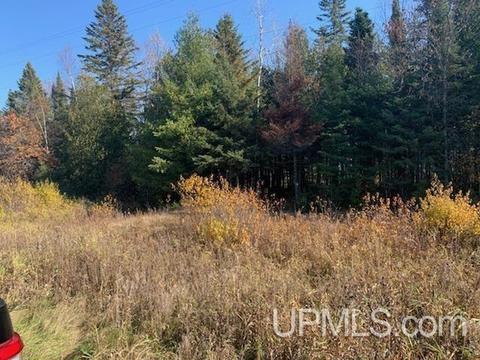 Tbd M35, Bark River, MI 49807 photo 4