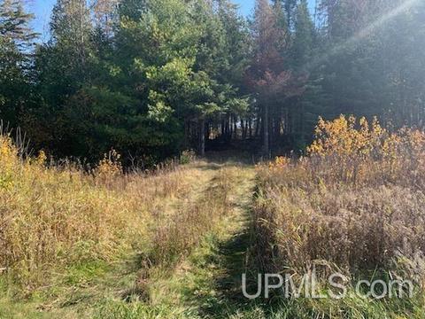 Tbd M35, Bark River, MI 49807 photo 3