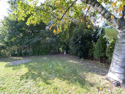 1101 Langley Blvd, Clawson, MI 48017 photo 50