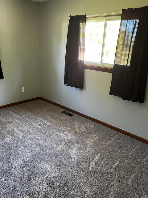 1203 Willows, Ithaca, MI 48847 photo 10
