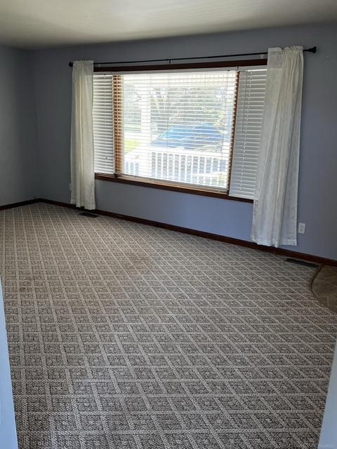 1203 Willows, Ithaca, MI 48847 photo 7