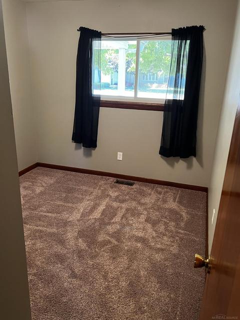 1203 Willows, Ithaca, MI 48847 photo 8