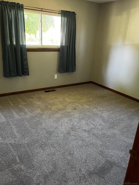 1203 Willows, Ithaca, MI 48847 photo 9