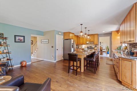520 Meadowbrook Dr, Adrian, MI 49221 photo 26