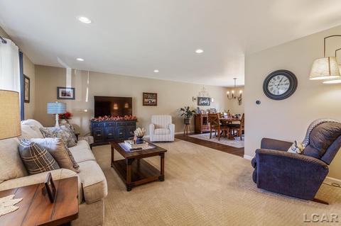 520 Meadowbrook Dr, Adrian, MI 49221 photo 16