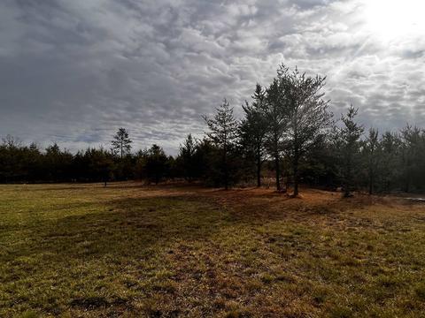 938 E Stockwell Rd, Harrison, MI 48625 photo 28