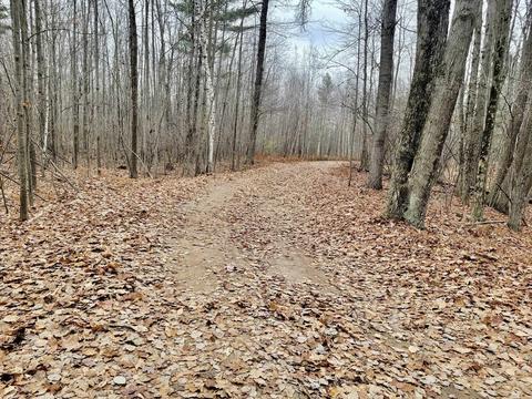 0 N Flajole Rd, Bentley, MI 48613