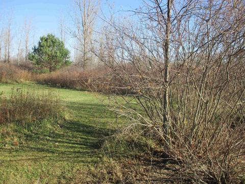 00 Bennington, Durand, MI 48429