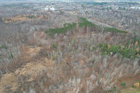 375 Weaver, Farwell, MI 48622 photo 4