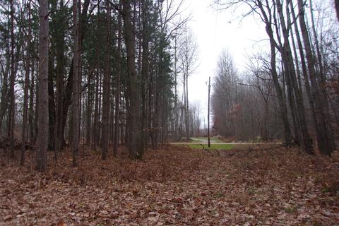3025 E Mannsiding, Harrison, MI 48625 photo 48