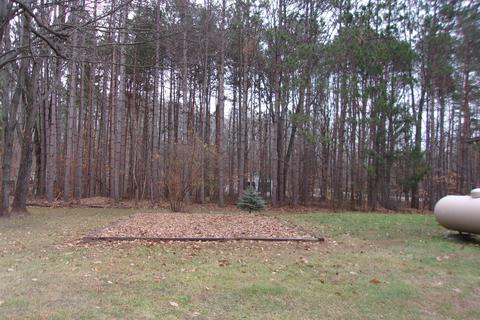 3025 E Mannsiding, Harrison, MI 48625 photo 43