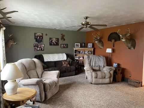 500 Sectionline, Ashley, MI 48806 photo 8