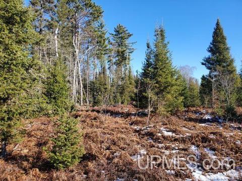 Tbd Willet Rd, Republic, MI 49879