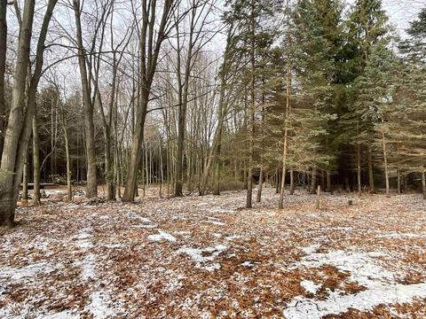 1050 Smith St, Algonac, MI 48001 photo 11