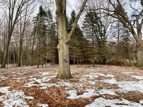 1050 Smith St, Algonac, MI 48001 photo 10