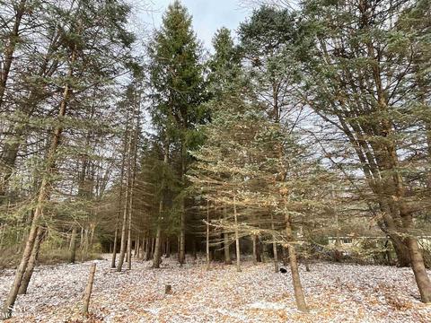 1050 Smith St, Algonac, MI 48001 photo 12
