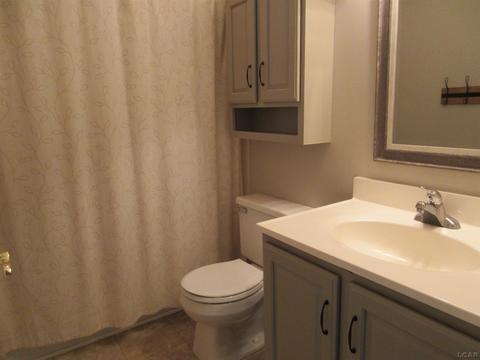 706 Illinois Ct, Tecumseh, MI 49286 photo 37