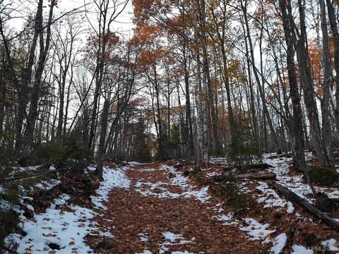 40 Acres Goose, Negaunee, MI 49866