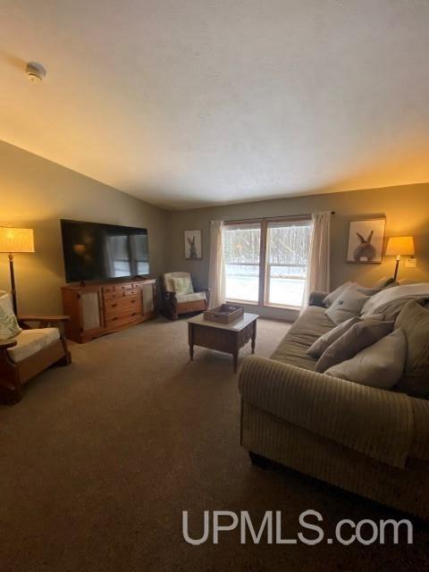 e12431 Park Street, Shingleton, MI 49884 photo 9