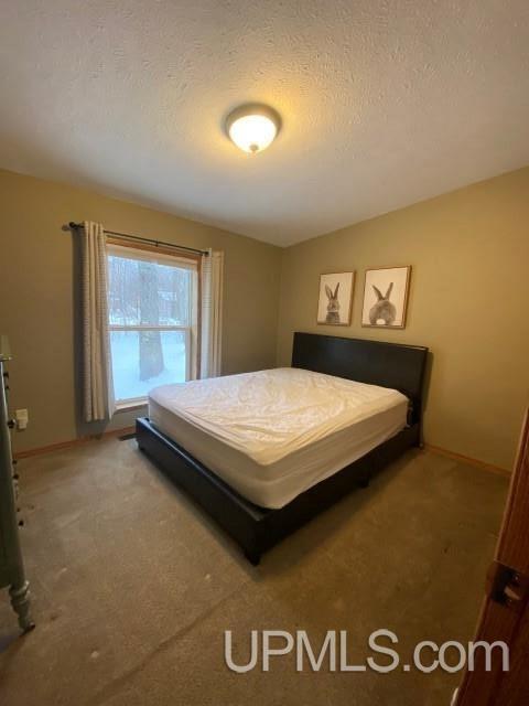 e12431 Park Street, Shingleton, MI 49884 photo 14