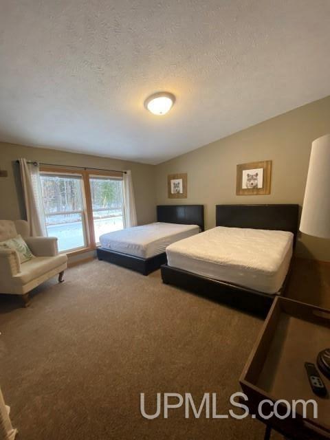 e12431 Park Street, Shingleton, MI 49884 photo 10
