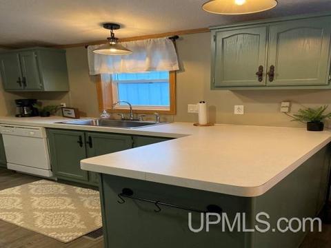 e12431 Park Street, Shingleton, MI 49884 photo 8