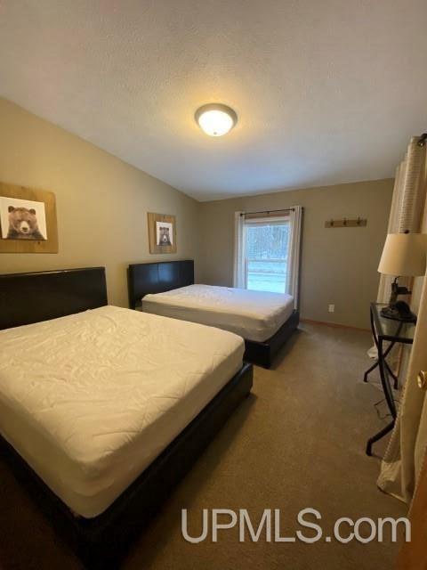 e12431 Park Street, Shingleton, MI 49884 photo 15