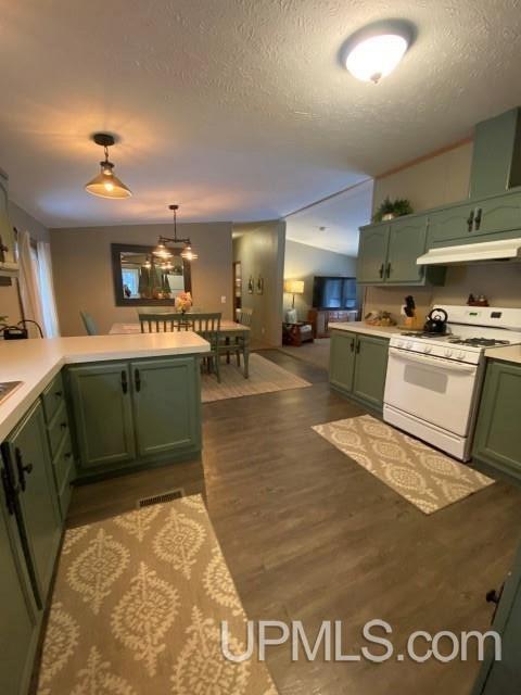 e12431 Park Street, Shingleton, MI 49884 photo 16