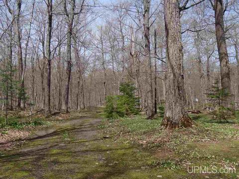 5272 Gratiot Lake Rd, Mohawk, MI 49950 photo 29