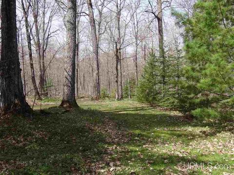 5272 Gratiot Lake Rd, Mohawk, MI 49950 photo 22