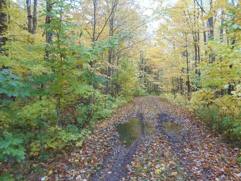 5272 Gratiot Lake Rd, Mohawk, MI 49950 photo 16
