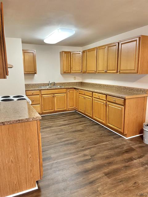 225 Toledo, Adrian, MI 49221 photo 2