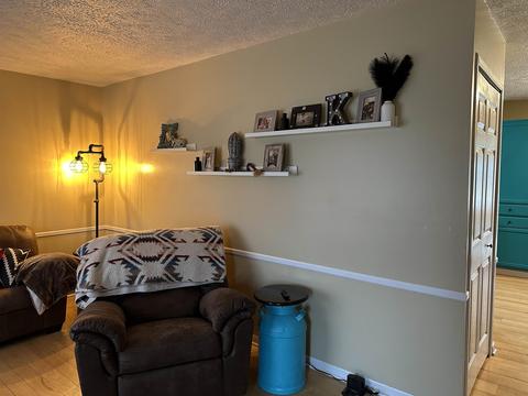 10289 E Lovejoy Rd, Perry, MI 48872 photo 9