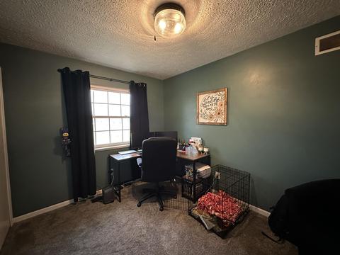 10289 E Lovejoy Rd, Perry, MI 48872 photo 20