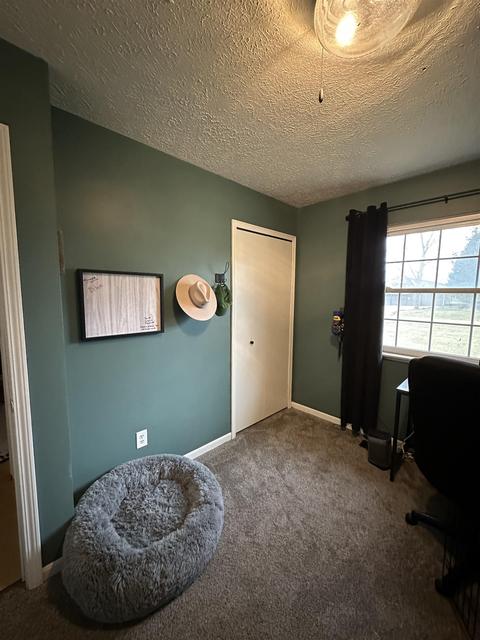 10289 E Lovejoy Rd, Perry, MI 48872 photo 21