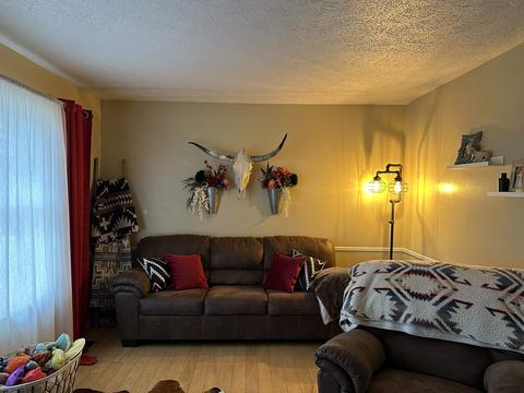 10289 E Lovejoy Rd, Perry, MI 48872 photo 8