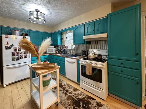 10289 E Lovejoy Rd, Perry, MI 48872 photo 5