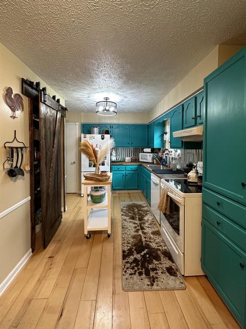10289 E Lovejoy Rd, Perry, MI 48872 photo 3