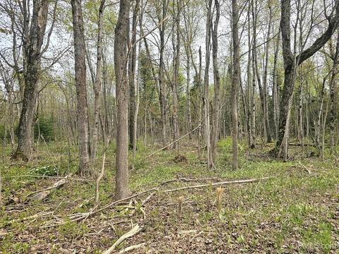 tbd Vanatta, Gulliver, MI 49840 photo 3