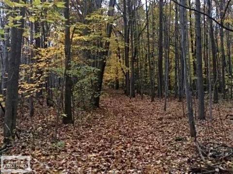 9770 Puttygut, Casco, MI 48064 photo 73