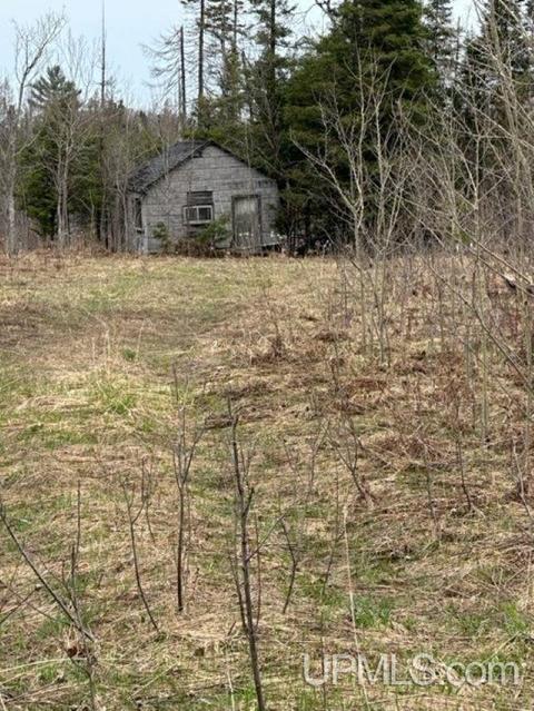 Tbd M-95, Channing, MI 49815