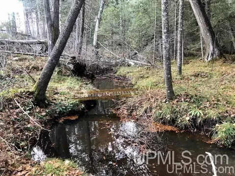 tbd 80 Acres Off Flat Rock, Ishpeming, MI 49849 photo 2