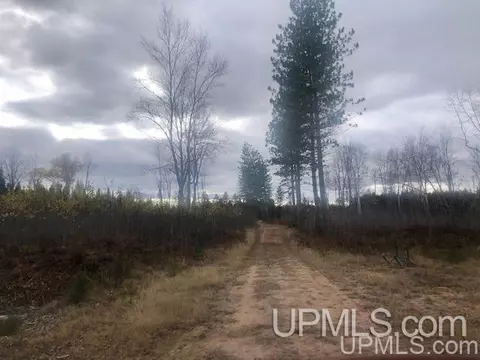 tbd 80 Acres Off Flat Rock, Ishpeming, MI 49849 photo 4