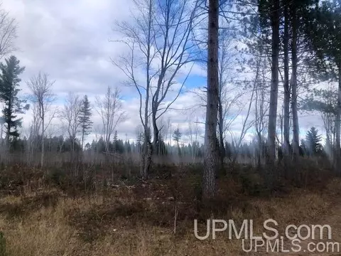 tbd 80 Acres Off Flat Rock, Ishpeming, MI 49849 photo 5