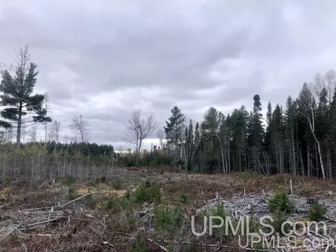 tbd 80 Acres Off Flat Rock, Ishpeming, MI 49849 photo 6