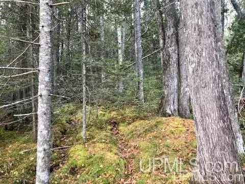 tbd 80 Acres Off Flat Rock, Ishpeming, MI 49849 photo 7